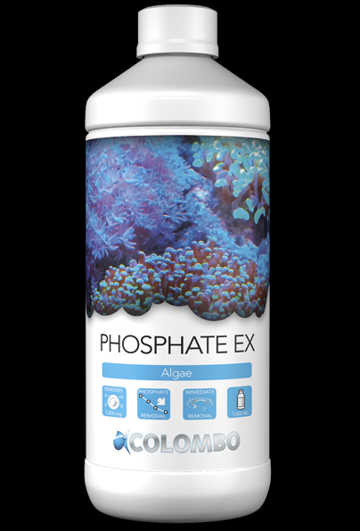 Phosphate Ex